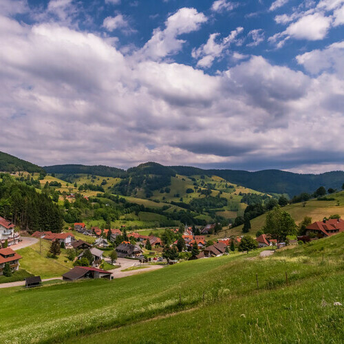 Wieden eingebettet in grne Wiesen und Schwarzwaldhhen