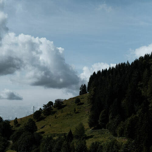 Das Black Forest House 1650 wird von einer herrlichen Natur- und Kulturlandschaft umgeben