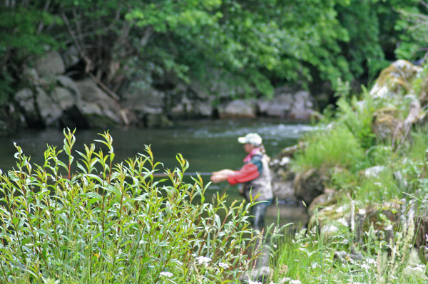 Fliegenfischen in der Schwarzwaldregion Belchen Fliegenfischen in der Schwarzwaldregion Belchen