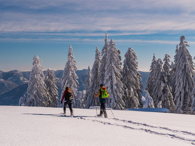 zum Pressebildarchiv ("Winter in der Schwarzwaldregion Belchen") Beispielsbild aus der Kategorie "Winter in der Schwarzwaldregion Belchen" unseres Pressebildarchivs