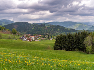 zum Pressebildarchiv ("Frühling in der Schwarzwaldregion Belchen") Beispielsbild aus der Kategorie "Frühling in der Schwarzwaldregion Belchen" unseres Pressebildarchivs
