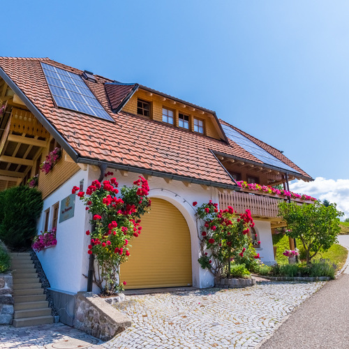 Vorplatz und Eingangsbereich des Hauses mit blühenden Rosensträucher am Haus - Vorplatz und Eingangsbereich des Hauses mit blühenden Rosensträucher am Haus -