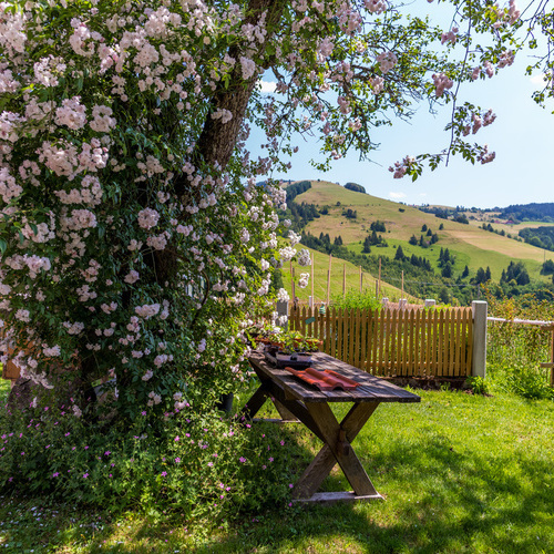 Gartentisch unter einem blühendem Baum mit Blick auf die umliegenden grünen Wiesen und Wälder - 