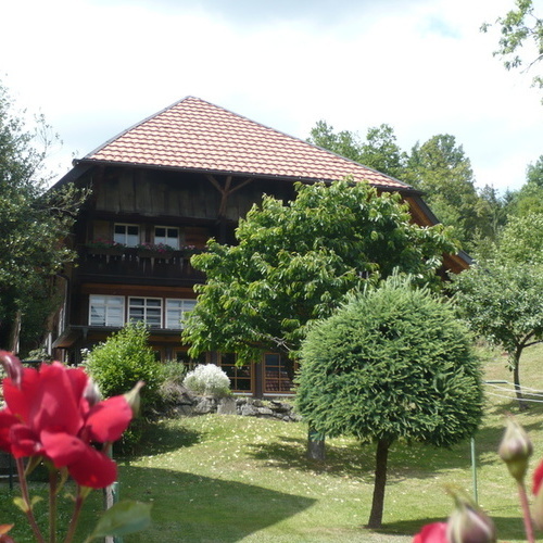 Ein Schwarzwaldhaus - Ein Schwarzwaldhaus -