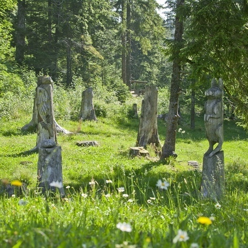 Belchen entdecken - Belchen entdecken -