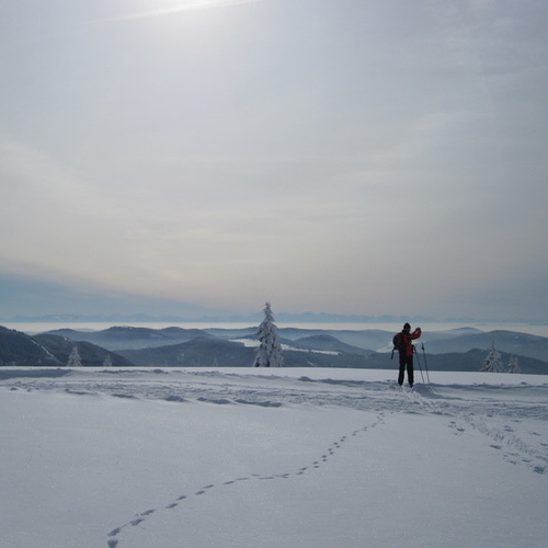 Ein Skifahrer beim Fotostopp in der winterlichen Landschaft mit Fernblick - Ein Skifahrer beim Fotostopp in der winterlichen Landschaft mit Fernblick -