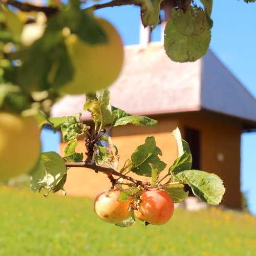 kleine Dorfkapelle direkt vor der Haustür - kleine Dorfkapelle direkt vor der Haustür -
