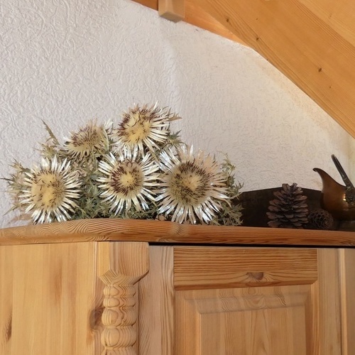 Marterer-Hof - Marterer-Hof -