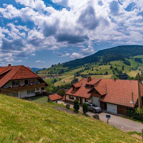 Das Haus Alpensicht im Hintergrund die Berglandschaft mit grünen Wiesen und Wäldern - 