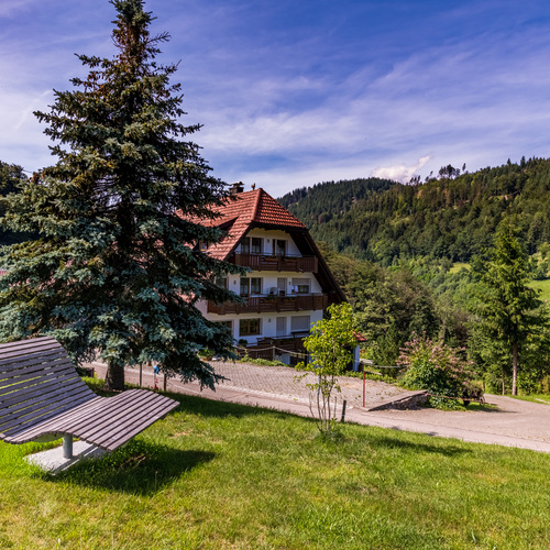 Himmelsliege neben einer Fichte im Hintergrund auf der gegenüberliegenden Straßenseite das Haus Bauer und grüne Wälder - Himmelsliege neben einer Fichte im Hintergrund auf der gegenüberliegenden Straßenseite das Haus Bauer und grüne Wälder -