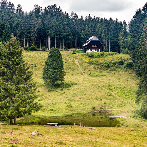 Blick vom Weiher zur Rheinfelder Hütte - Blick vom Weiher zur Rheinfelder Hütte -