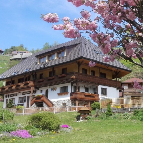 Außenansicht des Hauses mit Garten im Frühjahr - Außenansicht des Hauses mit Garten im Frühjahr -