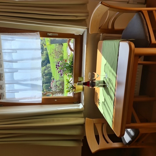 Außblick vom Esstisch - Außblick vom Esstisch -