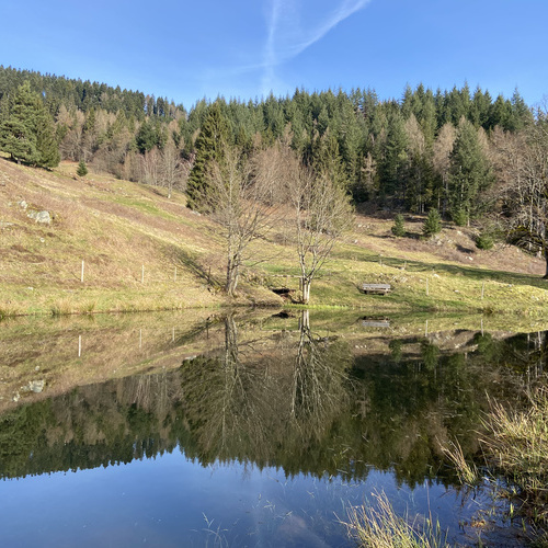Letzbergweiher - Letzbergweiher -