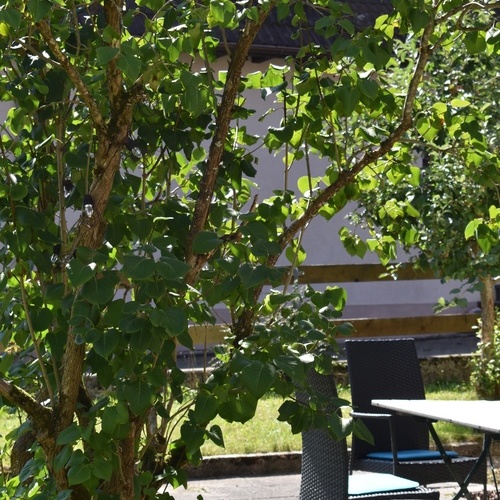 Gartenblick durch einen Strauch auf die Terrasse mit Sitzmöbel - Gartenblick durch einen Strauch auf die Terrasse mit Sitzmöbel -