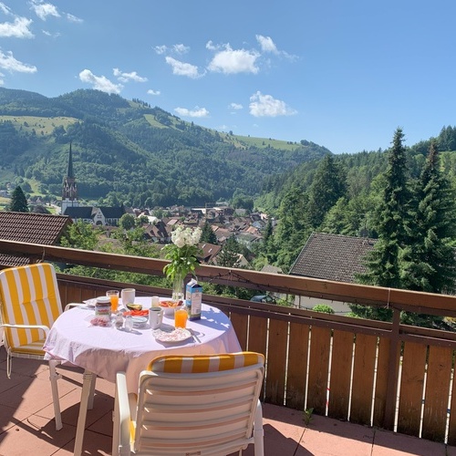 Blick vom Frühstückstisch auf dem Balkon auf Schönau und die umliegenden Wälder  - 