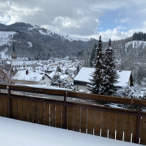 Blick vom Balkon auf die verschneite Landschaft und Schönau  - 