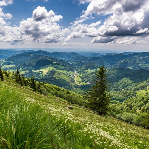 Blick vom Hausberg Belchen. - Blick vom Hausberg Belchen. -
